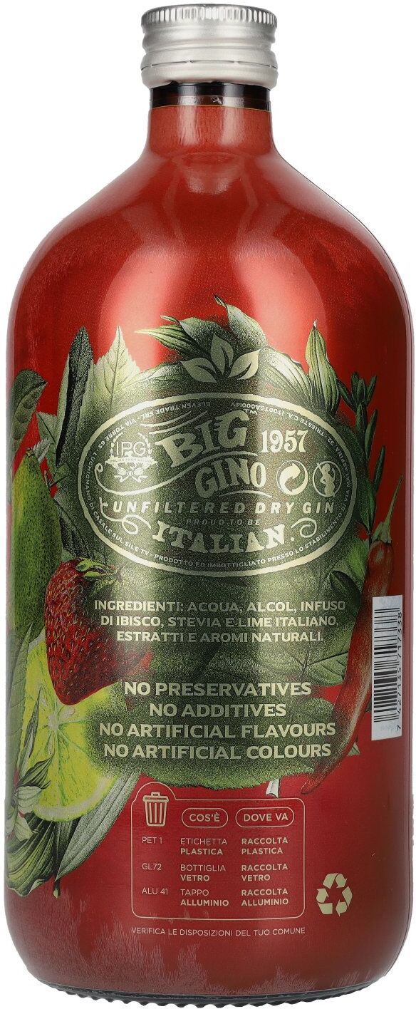 Big Gino Gin RED HOT FRUITS 38% Vol. 1l