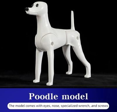 Inspired Finds ProGroom Full Body Poodle Grooming Practice Model poodle Model