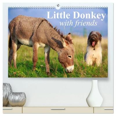 Little Donkey with Friends (High Quality Premium Wall Calendar 2027 DIN A2 landscape),CALVENDO 12 Month Wall Calendar