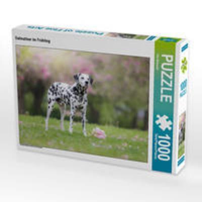 CALVENDO Puzzle Dalmatiner im Frühling 1000 Teile Lege-Größe 64 x 48 cm Foto-Puzzle Bild von Ulla Moswald