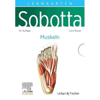 Sobotta Lernkarten Anatomie: Muskeln, Gebundene Ausgabe von Lars Bräuer, Urban & Fischer in Elsevier, 978-3-437-41163-2