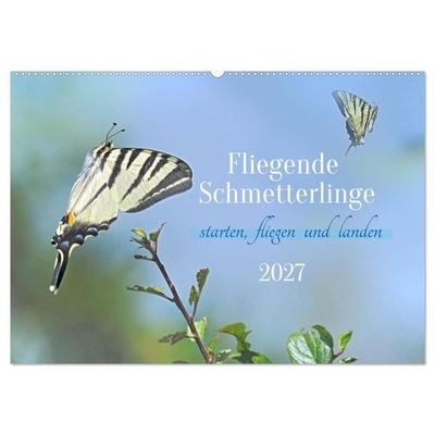Fliegende Schmetterlinge (Wandkalender 2027 DIN A2 quer), CALVENDO Monatskalender