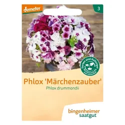 Bingenheimer Saatgut Phlox Märchenzauber demeter