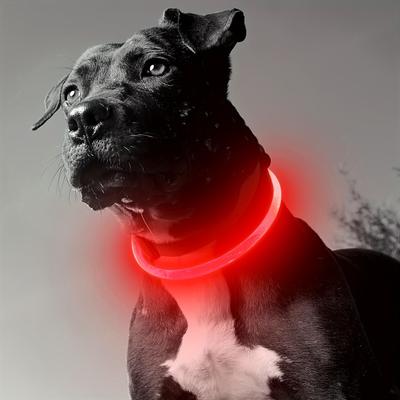 Discount Dollar Deals USB Rechargeable LED Dog Collar For Night Safety And Visibility red s