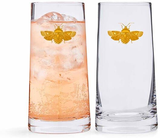 Spode Creatures of Curiosity Set of 2 Highball Glasses