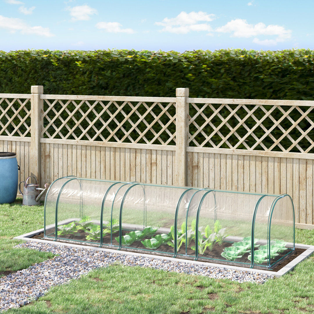 NFusion Calen Mini Greenhouse with Steel Frame and Zipped Doors Clear 80cm H X 350cm W X 100cm D