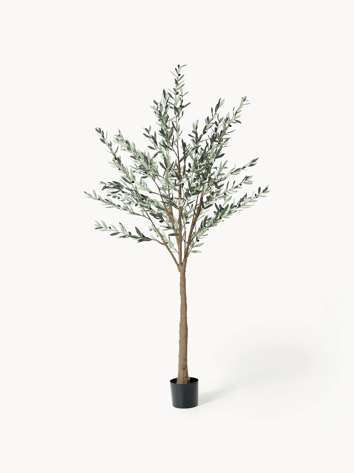 Botané Kunstplant Olive Tree