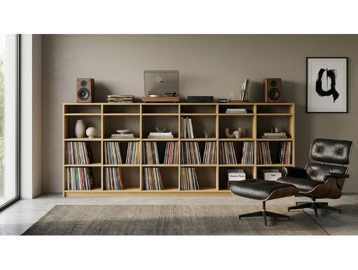 Schallplattenregal - Regal für Schallplatten mit vielen Optionen Eiche Natur geölt