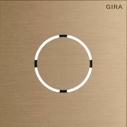 GIRA 5578921 Frontplatte