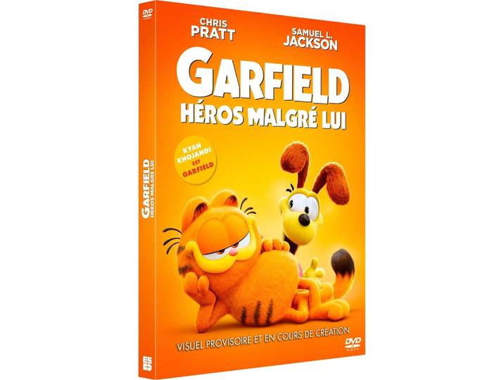 Garfield : Héros malgré lui