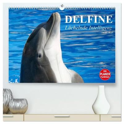 Delfine - Lächelnde Intelligenz (hochwertiger Premium Wandkalender 2027 DIN A2 quer), Kunstdruck in Hochglanz