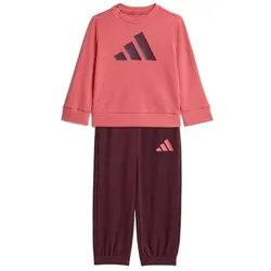 adidas Essentials Trainingshose Baby - purtur/maroon - 68