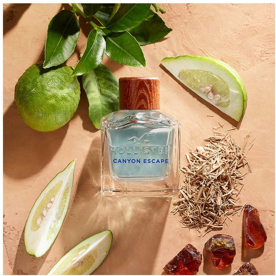 Hollister Canyon Escape For Him eau de toilette vaporizador 50 ml