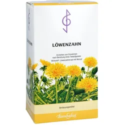 Löwenzahn