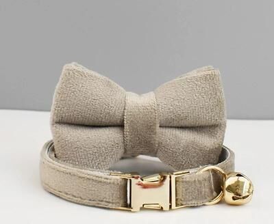 Inspired Finds ElegantPaws Personalized Bowknot Cat Collar With Free Custom Engraving mushroom Gray l