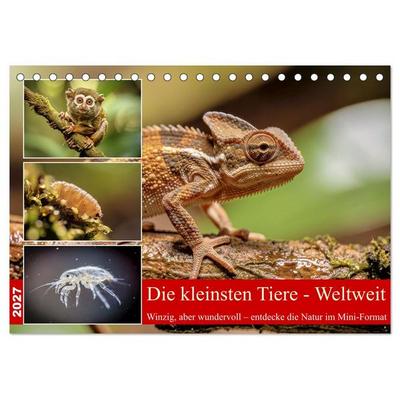 Die kleinsten Tiere - Weltweit (Tischkalender 2027 DIN A5 quer), CALVENDO Monatskalender