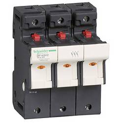 Schneider Electric DF143VC Sicherungshalter 2 St.