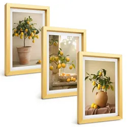 BILDER SET 3er Set - 20x30 cm Goldrahmen - Zitronenbäume im Topf