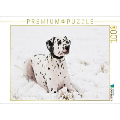 CALVENDO Puzzle Dalmatiner im Winter | 1000 Teile Lege-Größe 64x48cm Foto-Puzzle für glückliche Stunden