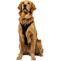 Ruffwear Ridgeline (M, Hund, Arbeit), Halsband + Leine