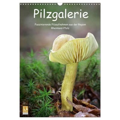 Pilzgalerie - Faszinierende Pilzaufnahmen aus der Region Rheinland-Pfalz (Wandkalender 2027 DIN A3 hoch), CALVENDO Monatskalender