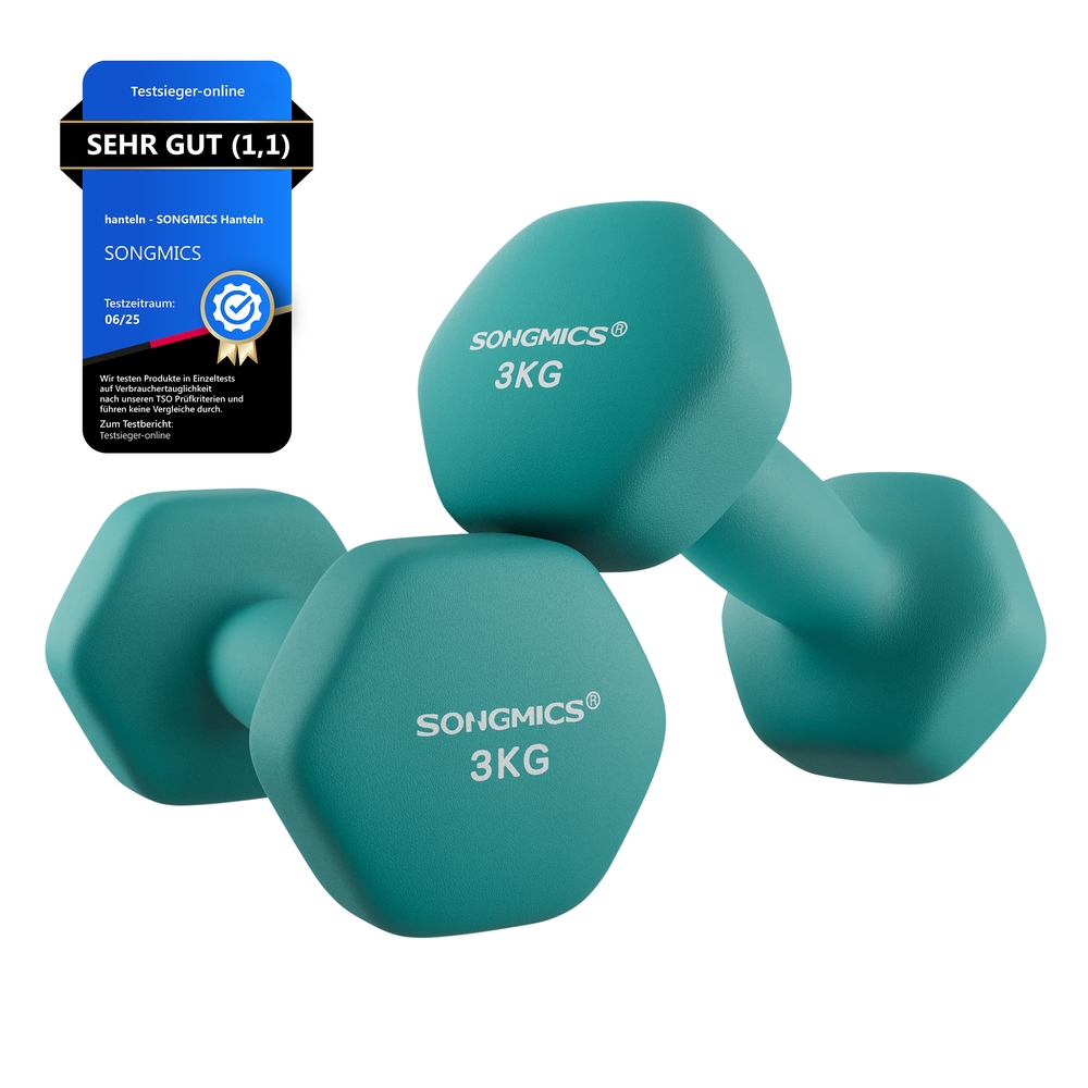 SONGMICS Kurzhanteln 2er-Set dunkelgrün B34SYL906Q01