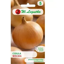 Wolska-Zwiebel – strohgelbe Schale, spät