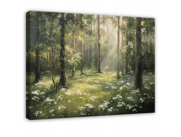 LEINWAND BILDER Wald Natur Grün 60x40