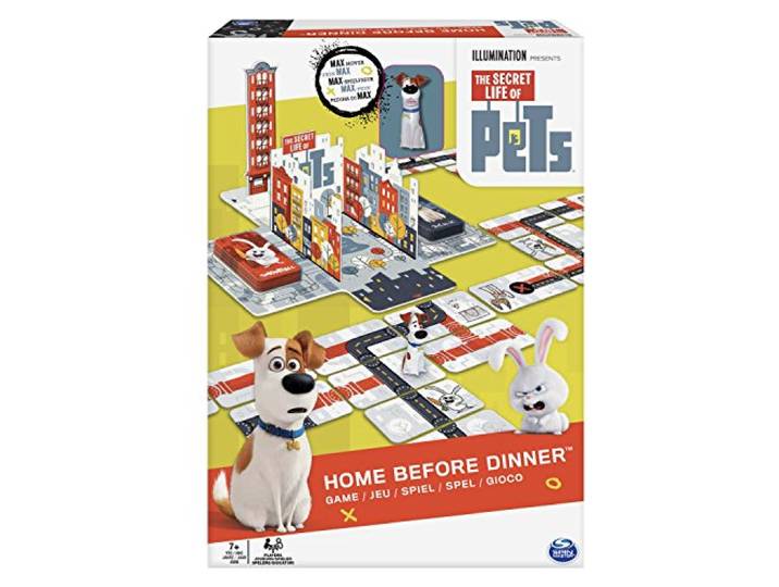 Spin Master 82789 - Het geheim voor een diner, meerkleurig