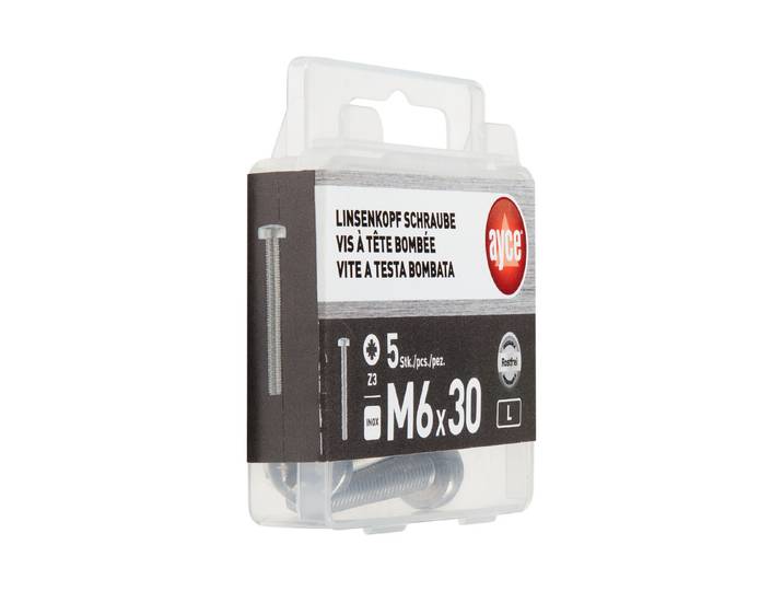LK Inox-Schraube M6 × 30 mm