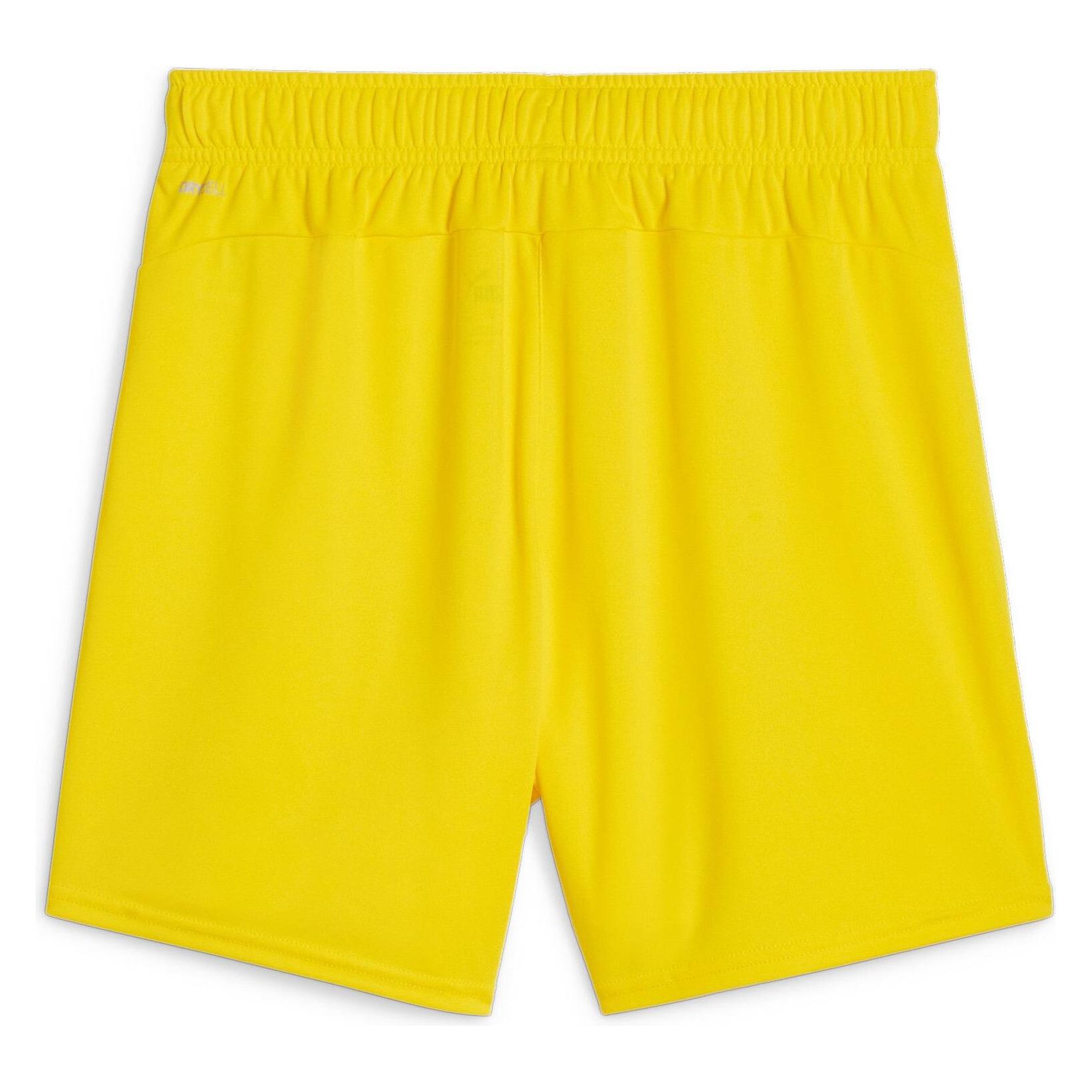 Puma teamGOAL Shorts Wmns (M) (705754_07)