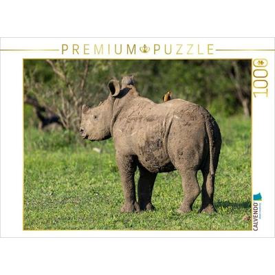 CALVENDO Puzzle Kleines Breitmaulnashorn mit Madenhacker in Südafrika | 1000 Teile Lege-Größe 64x48cm Foto-Puzzle für glückliche Stunden
