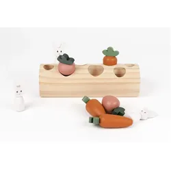 Egmont Kaninchen und Möhren