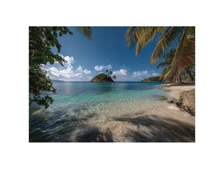 FOTOTAPETE Strand Palmen Blau 200x140 cm