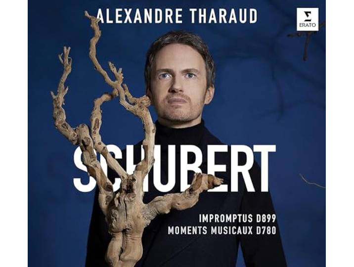 Schubert: Impromptus D899, Moments Musicaux D780
