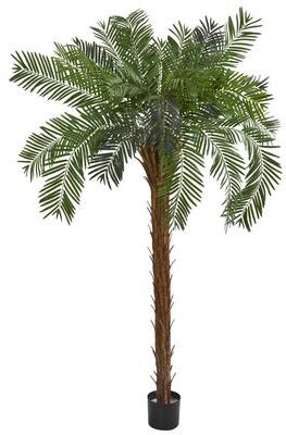 Nearly Natural 7' Cycas Palm Artificial Tree - Green