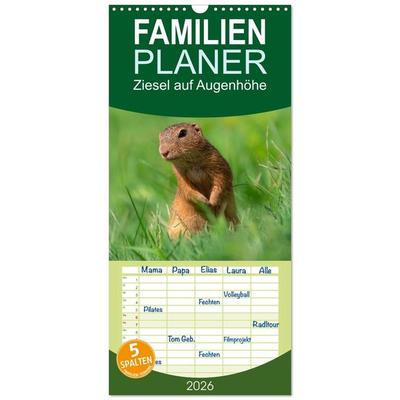 Familienplaner 2026 - Ziesel auf Augenhöhe mit 5 Spalten (Wandkalender, 21 x 45 cm) CALVENDO