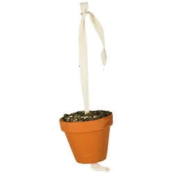 JR FARM Birds Tontöpfchen Großsittich & Papagei 260g Vogelsnack