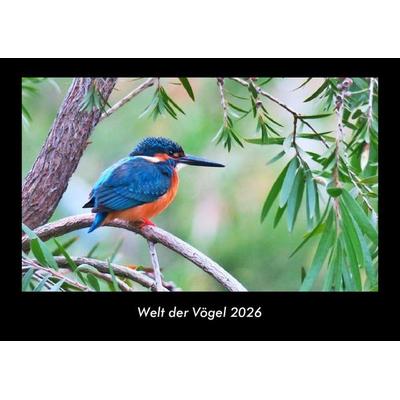 Welt der Vögel 2026 Fotokalender DIN A3