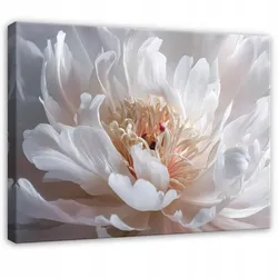 WANDBILDER Blumen Modern 120x80