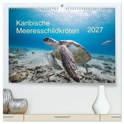 Karibische Meeresschildkröten (hochwertiger Premium Wandkalender 2027 DIN A2 quer), Kunstdruck in Hochglanz