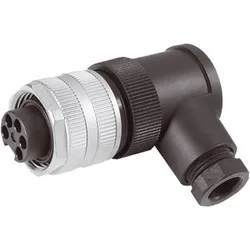 Murrelektronik 7/8 Buchse gewinkelt 7000-78261-0000000
