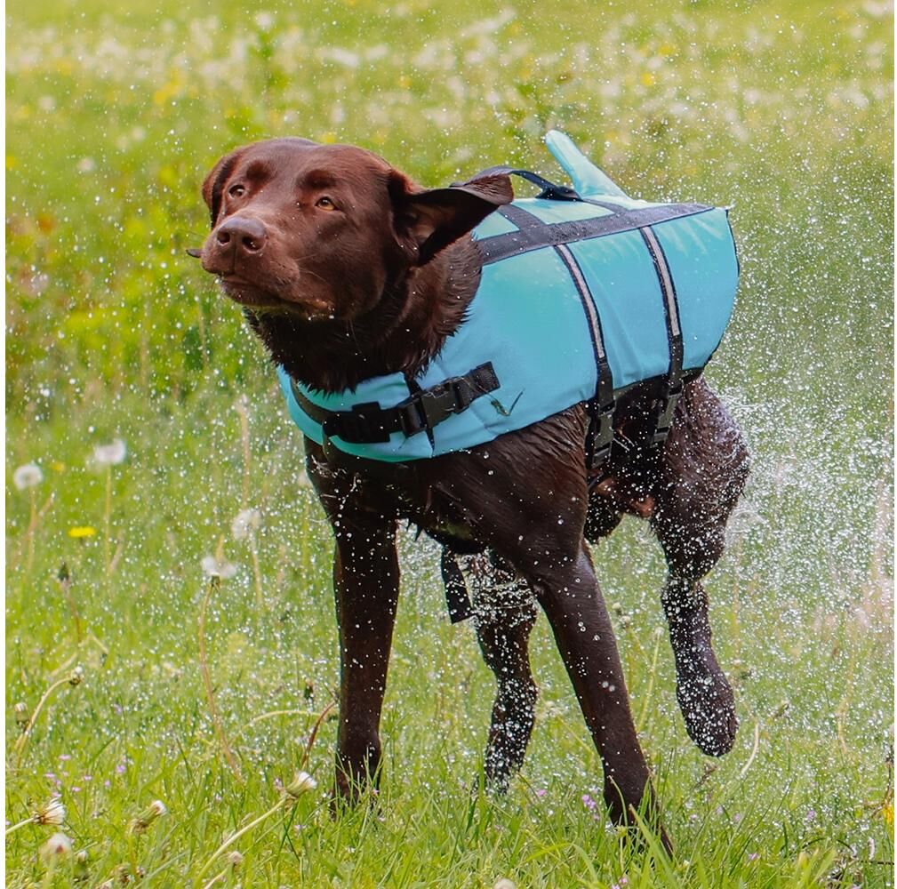 Hundeweste NOBBY "Sharki S, 30 cm", blau, S (30cm), Rückenlängecm: 30cm, Tierbekleidung, Hundeweste blau S (30cm), Rückenlängecm: 30cm