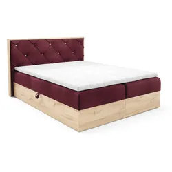 BOXBETT Helios