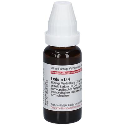 Ledum D 4 Dilution 20 ml