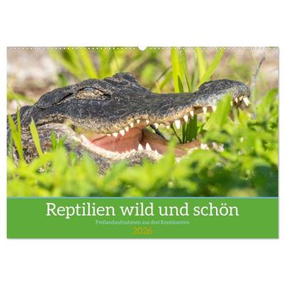 Reptilien wild und schön (Wandkalender 2026 DIN A2 quer), CALVENDO Monatskalender