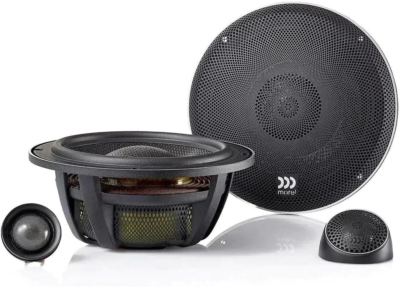 Morel Elate Carbon 62