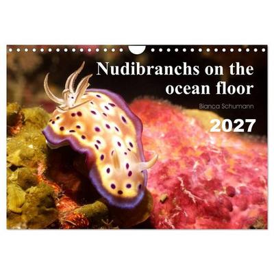 Nudibranchs on the ocean floor (Wall Calendar 2027 DIN A4 landscape), CALVENDO 12 Month Wall Calendar