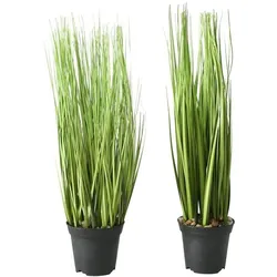 Boltze Kunst Topfpflanze Gras, H54 x Ø12 cm