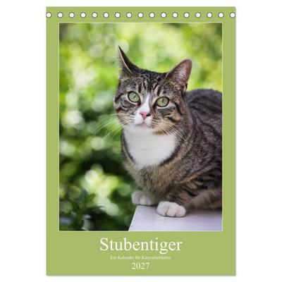 Stubentiger (Tischkalender 2027 DIN A5 hoch), CALVENDO Monatskalender